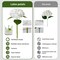3PCS White Hydrangea Artificial Flowers – 21" Full Faux Hydrangeas with 3 Butterflies, Real Touch Latex Flowers for Home Decor, Wedding Bouquets, Centerpieces & Floral Arrangements